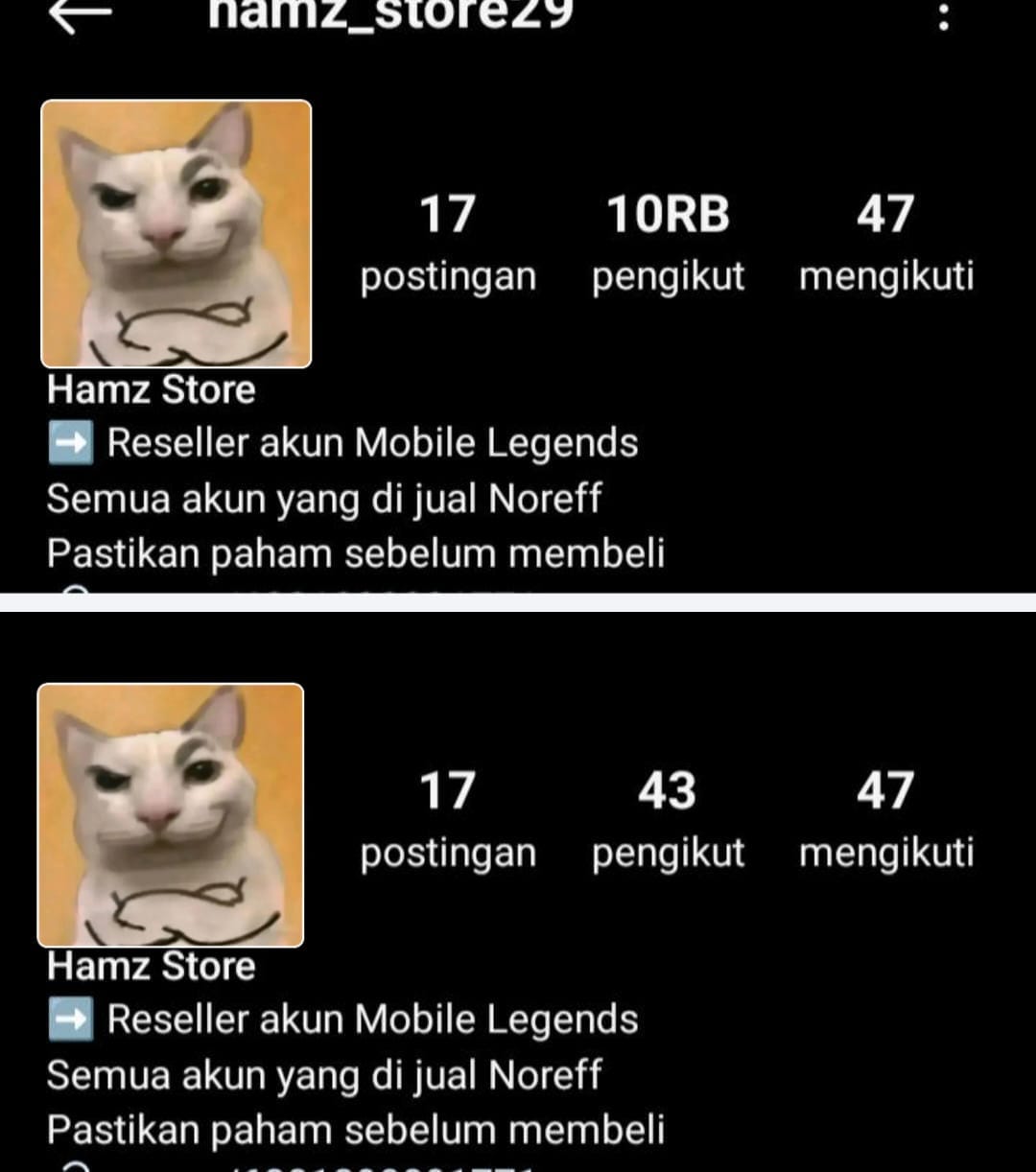 Testimoni layanan Instagram